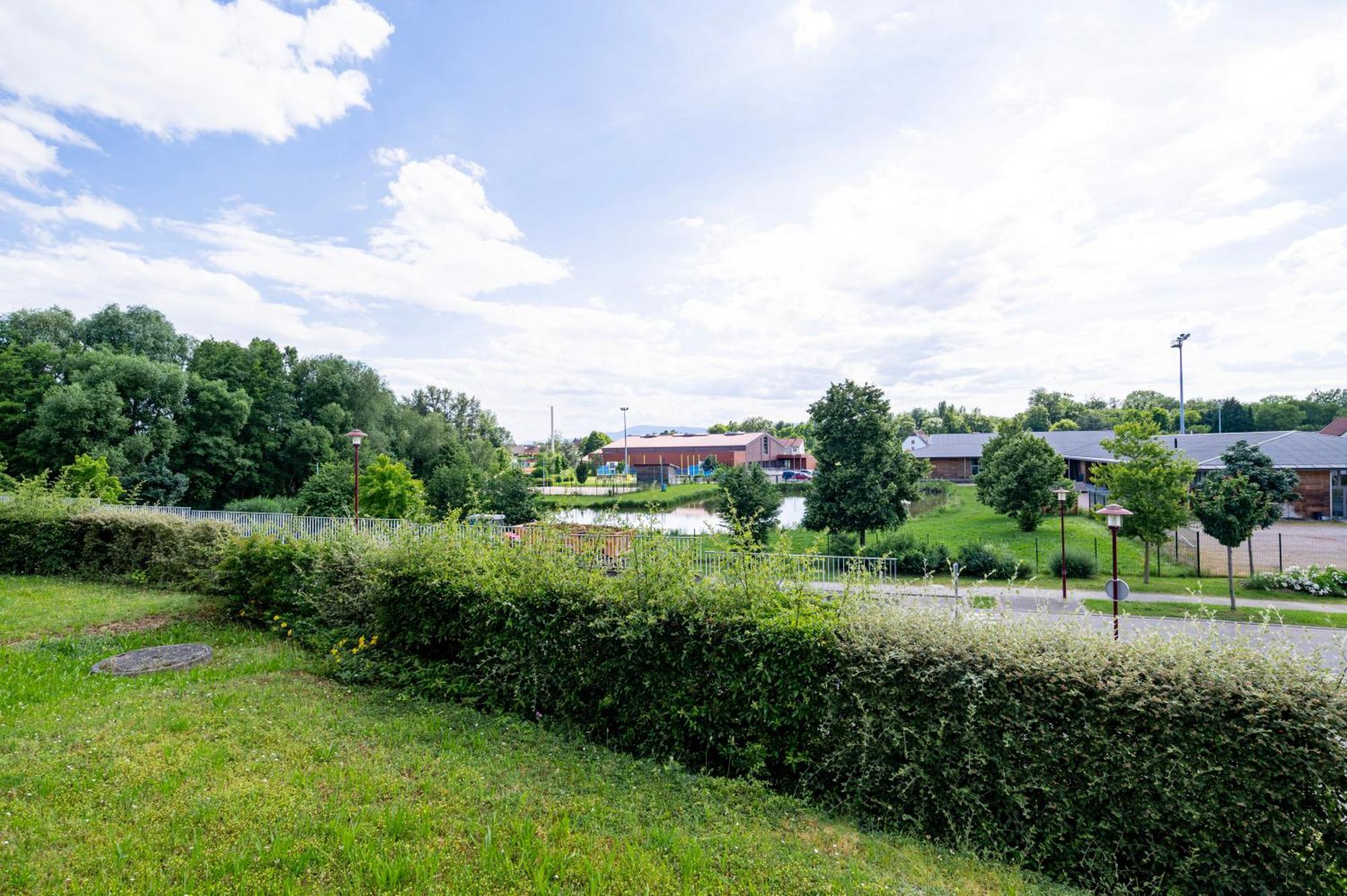 Apartament Chez Virgil - Terrasse Vue Degagee, Parking Prive Ernolsheim-Bruche Zewnętrze zdjęcie